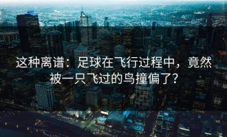 这种离谱：足球在飞行过程中，竟然被一只飞过的鸟撞偏了？
