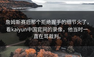 詹姆斯赛后那个拒绝握手的细节火了，看kaiyun中国官网的录像，他当时一直在骂裁判。