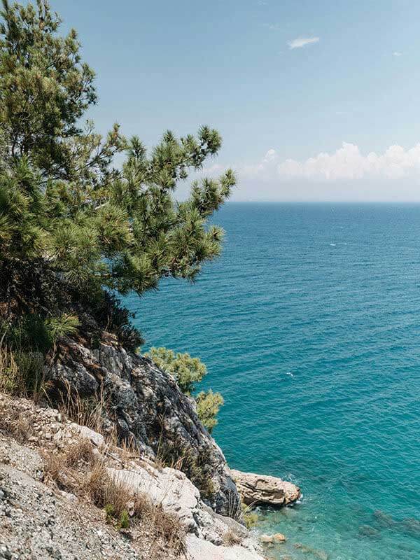 这种反差感极强的表现，背后其实是开云 app 记录的严苛训练量。