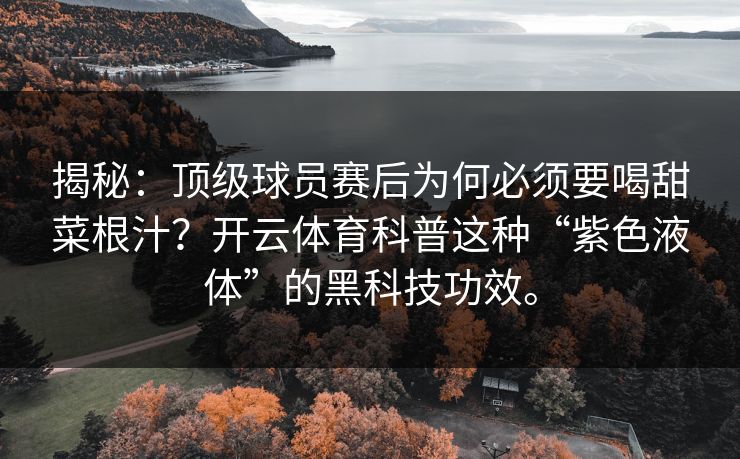揭秘:顶级球员赛后为何必须要喝甜菜根汁?开云体育科普这种“紫色液体”的黑科技功效。 揭秘:顶级球员赛后为何必须要喝甜菜根汁?开云体育科普这种“紫色液体”的黑科技功效。